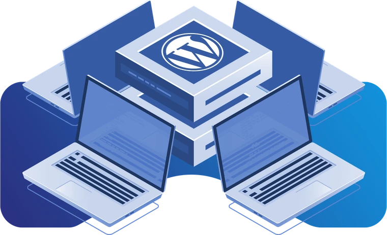 WordPress ve E-Ticaret Hosting Desteği
