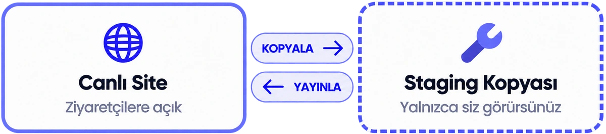 Canlı site ziyaretçilere açıktır, staging kopyasını yalnızca siz görürsünüz; kopyala ve yayınla adımlarıyla ikisi arasında geçiş yapılır